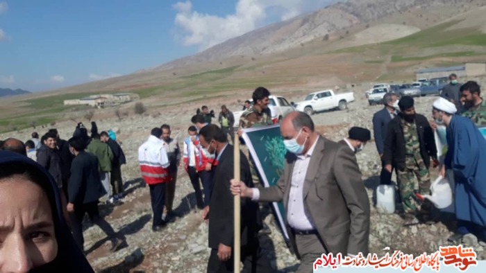 کاشت نهال به نام و ياد زنان شهیده و جانباز شهرستان ملکشاهی