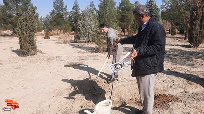 غرس درخت به نیابت از شهدا- هفدهم اسفندماه ۱۴۰۲ پارک جنگلی سوکان سمنان