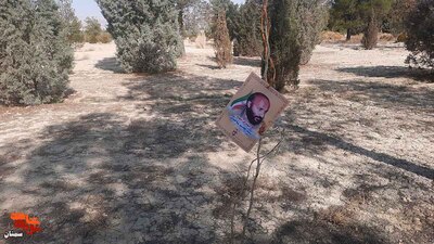 غرس درخت به نیابت از شهدا- هفدهم اسفندماه ۱۴۰۲ پارک جنگلی سوکان سمنان
